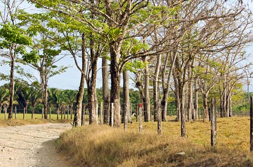 birdwatch road