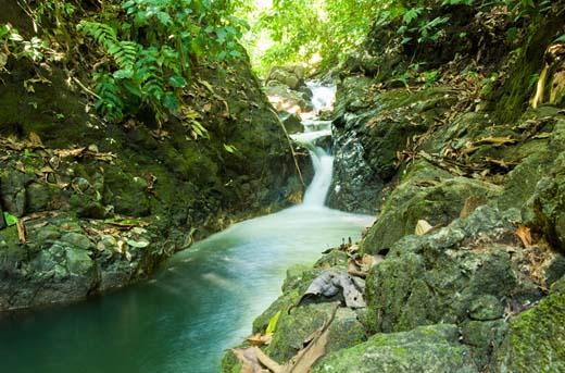carbonera river