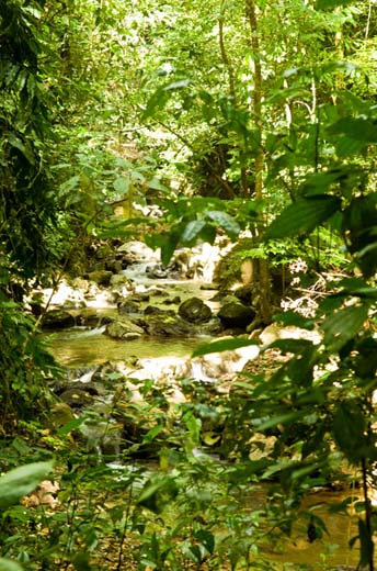 carbonera river