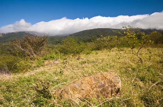 rincon de la vieja