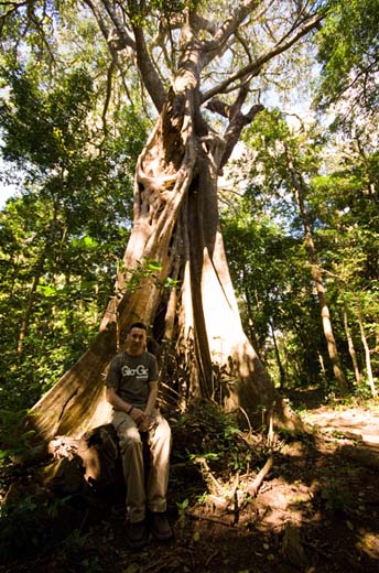 kevan and the fig tree