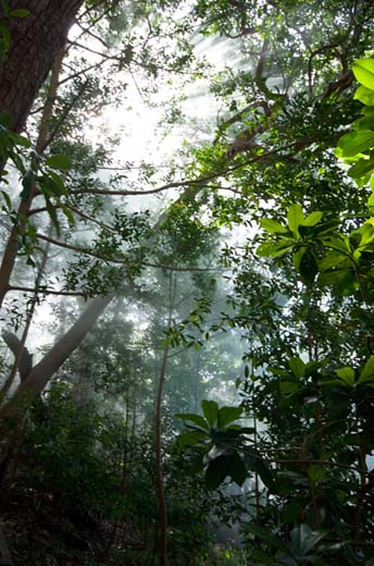 rincon de la vieja steam