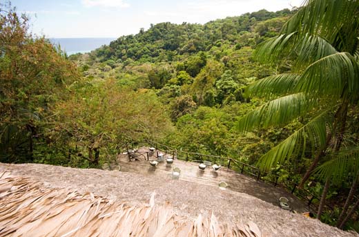 view from observation tower